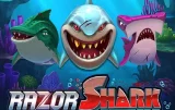 Razor Shark – Slot online de tubarões com prêmios enormes